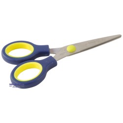 ΨΑΛΙ∆Ι ΛΕΠΤΟΜΕΡΕΙΑΣ