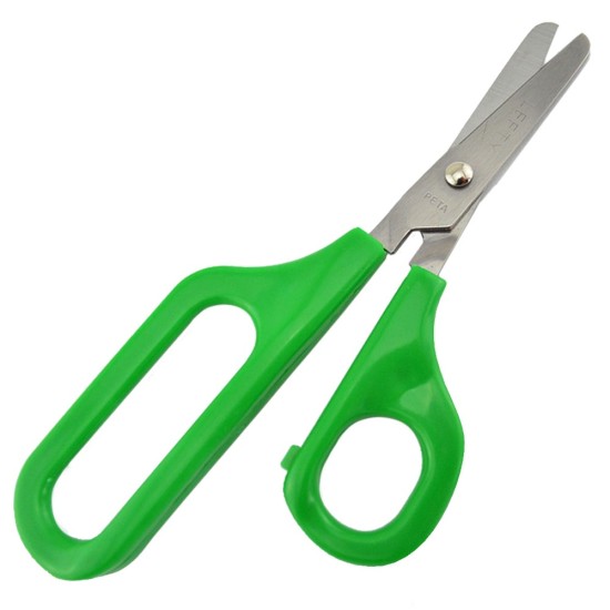 ΨΑΛΙΔΙ ΜΕΓΑΛΗΣ ΛΑΒΗΣ ΑΡΙΣΤΕΡΟΧΕΙΡΑ - ΠΑΙΔΙΚΟ