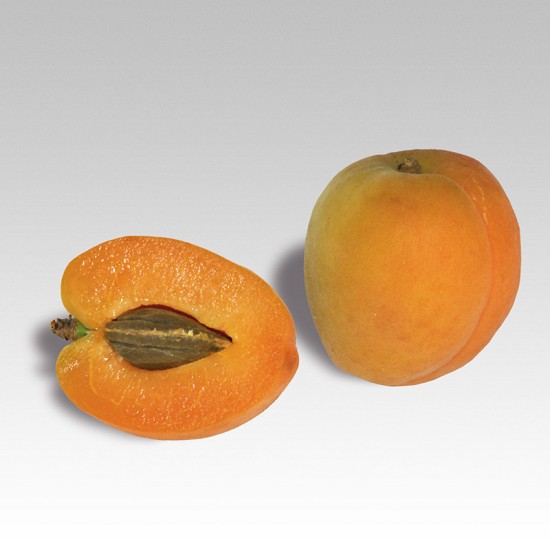 COLOR PHOTOCARDS ΛΟΓΟΘΕΡΑΠΕΙΑΣ - ΤΡΟΦΙΜΑ "ΦΡΟΥΤΑ ΚΑΙ ΞΗΡΟΙ ΚΑΡΠΟΙ"