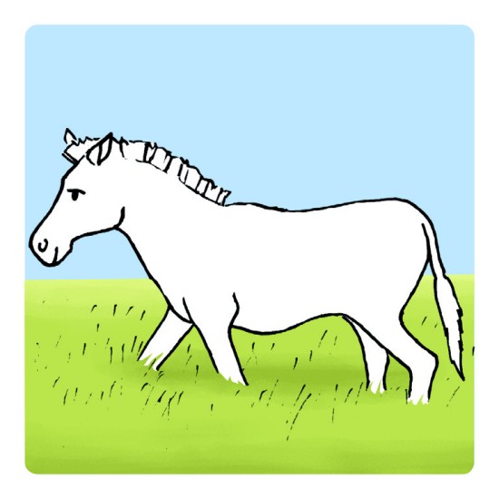 ΕΙΚΟΝΟΚΑΡΤΕΣ ΛΟΓΟΘΕΡΑΠΕΙΑΣ "ΑΝΤΙΚΕΙΜΕΝΑ & ΧΡΩΜΑ"