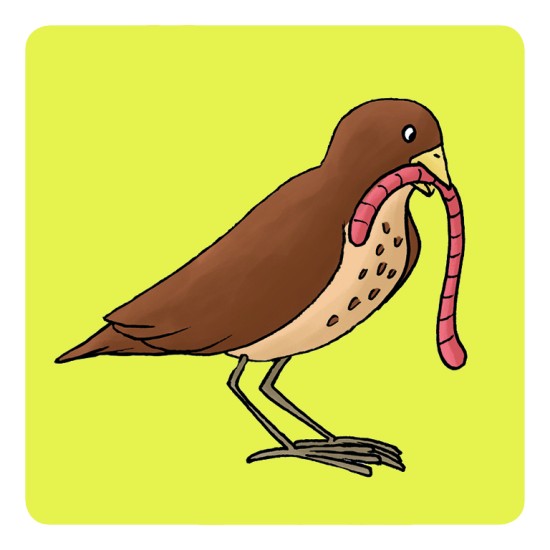 ΕΙΚΟΝΟΚΑΡΤΕΣ ΛΟΓΟΘΕΡΑΠΕΙΑΣ "ΠΡΟΣΦΟΡΑ ΚΑΙ ΔΩΡΟ"