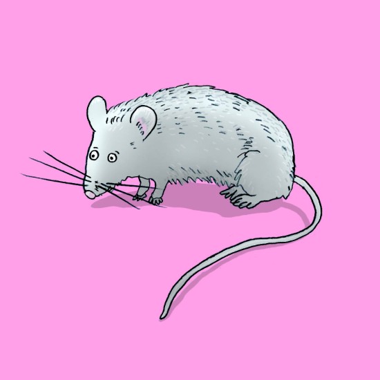 ΕΙΚΟΝΟΚΑΡΤΕΣ ΛΟΓΟΘΕΡΑΠΕΙΑΣ "ΛΕΞΕΙΣ ΚΑΙ ΟΜΩΝΥΜΑ"