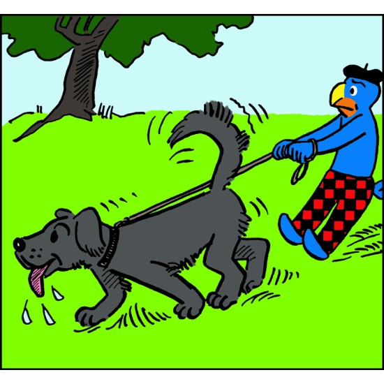 ΚΑΤΑΝΟΗΣΗ ΧΡΟΝΙΚΗΣ ΑΚΟΛΟΥΘΙΑΣ: "ΑΝΤΙΜΕΤΩΠΙΣΗ ΚΑΘΗΜΕΡΙΝΩΝ ΚΑΤΑΣΤΑΣΕΩΝ ΜΕ ΦΑΝΤΑΣΙΑ"