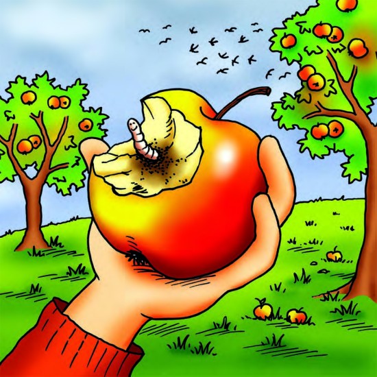 ΚΟΙΝΩΝΙΚΕΣ ΙΣΤΟΡΙΕΣ: "ΜΙΛΩΝΤΑΣ ΓΙΑ ΤΙΣ 4 ΕΠΟΧΕΣ"