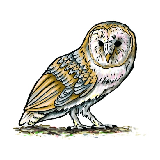 ΔΕΞΙΟΤΗΤΕΣ ΛΟΓΙΚΗΣ ΣΚΕΨΗΣ "ΕΝΤΟΠΙΣΕ ΤΟ ΑΤΑΙΡΙΑΣΤΟ"