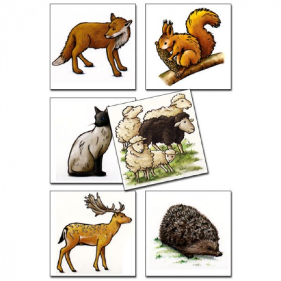 ΔΕΞΙΟΤΗΤΕΣ ΛΟΓΙΚΗΣ ΣΚΕΨΗΣ "ΕΝΤΟΠΙΣΕ ΤΟ ΑΤΑΙΡΙΑΣΤΟ"