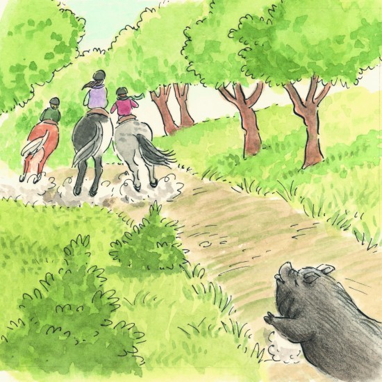 ΚΟΙΝΩΝΙΚΕΣ ΙΣΤΟΡΙΕΣ: ”ΜΑΘΑΙΝΩ ΝΑ ΣΥΜΒΙΩΝΩ ΜΕ ΤΑ ΖΩΑ”