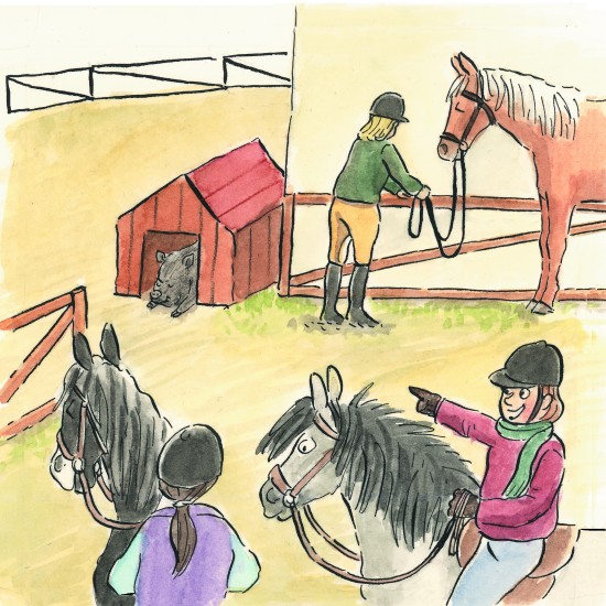 ΚΟΙΝΩΝΙΚΕΣ ΙΣΤΟΡΙΕΣ: ”ΜΑΘΑΙΝΩ ΝΑ ΣΥΜΒΙΩΝΩ ΜΕ ΤΑ ΖΩΑ”