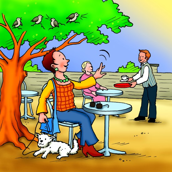 ΚΑΤΑΝΟΗΣΗ ΧΡΟΝΙΚΗΣ ΑΚΟΛΟΥΘΙΑΣ: "ΑΣΤΕΙΕΣ ΙΣΤΟΡΙΕΣ ΜΕ ΖΩΑ"