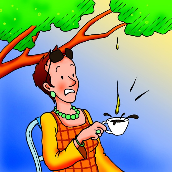 ΚΑΤΑΝΟΗΣΗ ΧΡΟΝΙΚΗΣ ΑΚΟΛΟΥΘΙΑΣ: "ΑΣΤΕΙΕΣ ΙΣΤΟΡΙΕΣ ΜΕ ΖΩΑ"