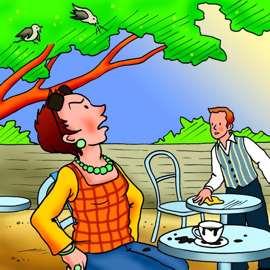 ΚΑΤΑΝΟΗΣΗ ΧΡΟΝΙΚΗΣ ΑΚΟΛΟΥΘΙΑΣ: "ΑΣΤΕΙΕΣ ΙΣΤΟΡΙΕΣ ΜΕ ΖΩΑ"