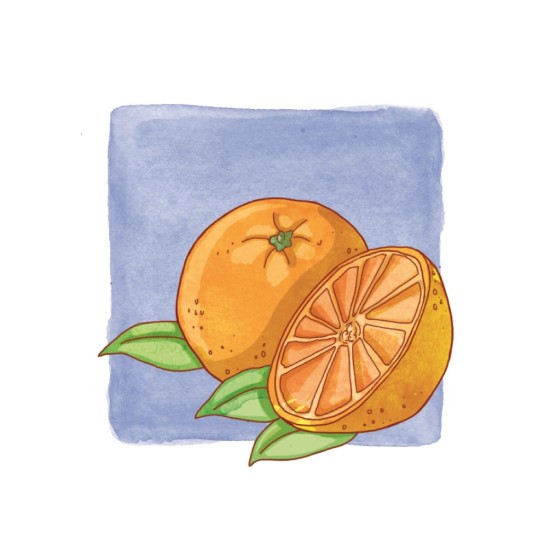 ΣΗΜΑΣΙΟΛΟΓΙΚΕΣ ΣΧΕΣΕΙΣ "ΤΙ ΑΝΗΚΕΙ ΜΑΖΙ;" ΣΕΙΡΑ 2