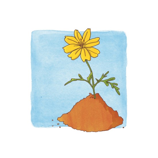 ΣΗΜΑΣΙΟΛΟΓΙΚΕΣ ΣΧΕΣΕΙΣ "ΑΝΤΙΚΕΙΜΕΝΑ & ΧΡΗΣΗ"