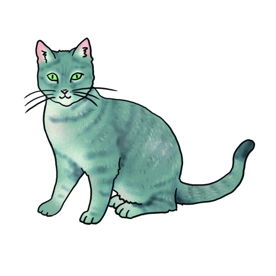 ΑΝΑΠΤΥΞΗ ΛΕΞΙΛΟΓΙΟΥ & ΕΠΙΚΟΙΝΩΝΙΑΣ "ΖΩΑ, ΦΥΤΑ & ΦΥΣΙΚΟ ΠΕΡΙΒΑΛΛΟΝ"