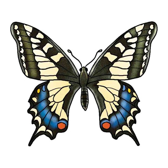 ΑΝΑΠΤΥΞΗ ΛΕΞΙΛΟΓΙΟΥ & ΕΠΙΚΟΙΝΩΝΙΑΣ "ΖΩΑ, ΦΥΤΑ & ΦΥΣΙΚΟ ΠΕΡΙΒΑΛΛΟΝ"