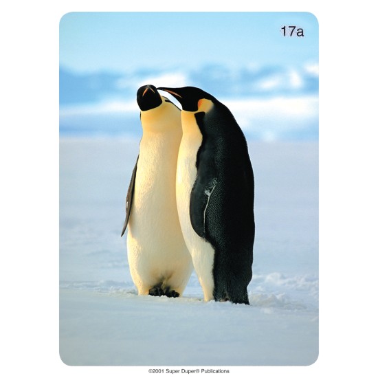 MAXI ΚΑΡΤΕΣ ΑΝΑΠΤΥΞΗΣ ΟΜΙΛΙΑΣ "ΖΩΑ"