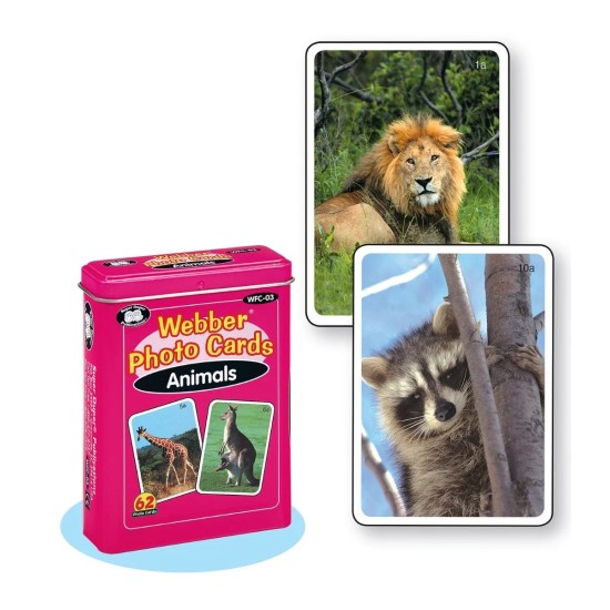 MAXI ΚΑΡΤΕΣ ΑΝΑΠΤΥΞΗΣ ΟΜΙΛΙΑΣ "ΖΩΑ"