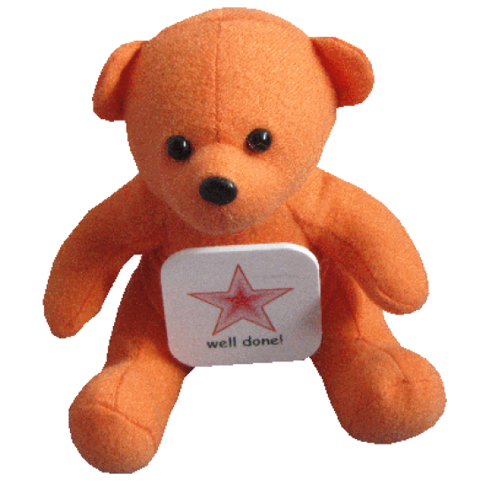 TALK WITH TEDDIES COMMUNICATION KIT