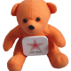 TALK WITH TEDDIES COMMUNICATION KIT