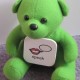 TALK WITH TEDDIES COMMUNICATION KIT