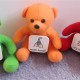 TALK WITH TEDDIES COMMUNICATION KIT