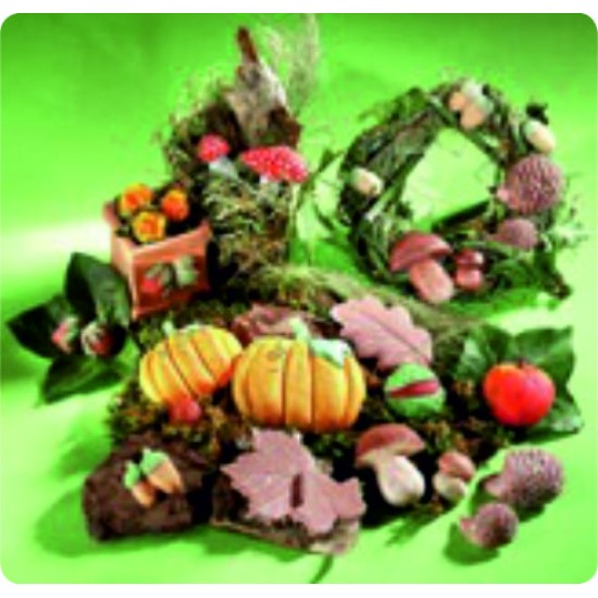 ΦΟΡΜΕΣ ΓΥΨΟΥ "ΦΘΙΝΟΠΩΡΙΝΗ ΔΙΑΚΟΣΜΗΣΗ"