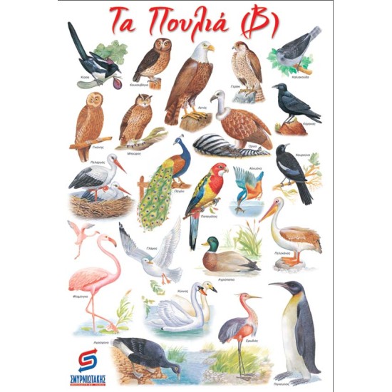 ΤΑ ΠΟΥΛΙΑ (Β) ΜΕΓΑΛΑ