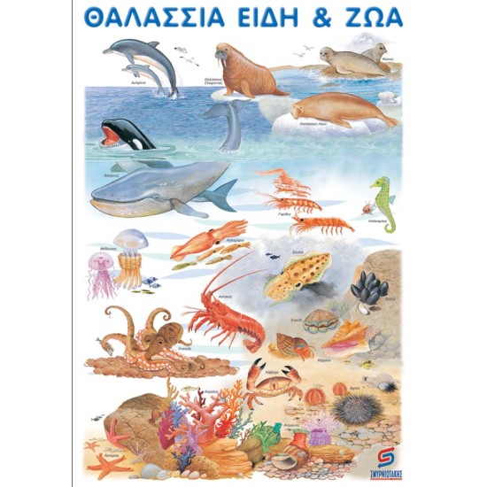ΘΑΛΑΣΣΙΑ ΕΙ∆Η ΚΑΙ ΖΩΑ