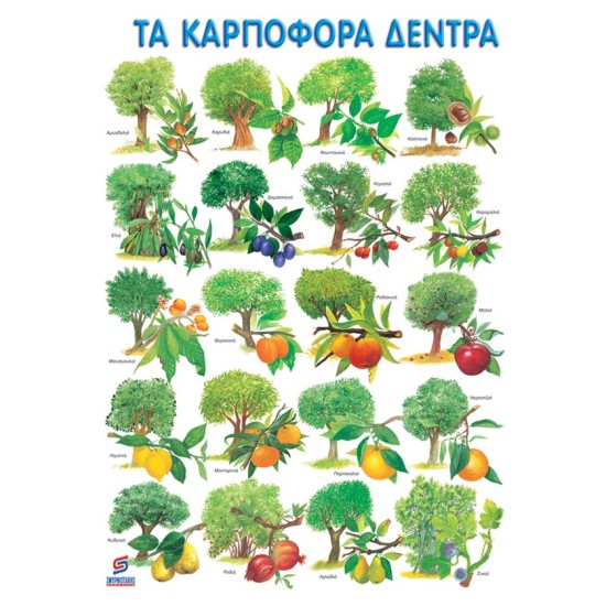 ΤΑ ΚΑΡΠΟΦΟΡΑ ∆ΕΝΤΡΑ